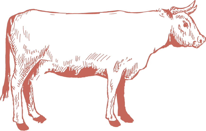 Steak Guide What is Feather Blade Steak? Campbell Brothers