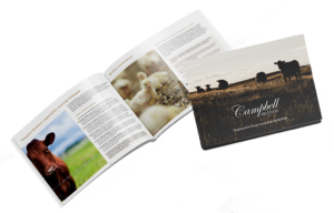 Responsible sourcing guide image
